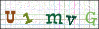 Image Verification