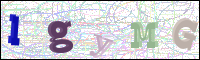 Image Verification